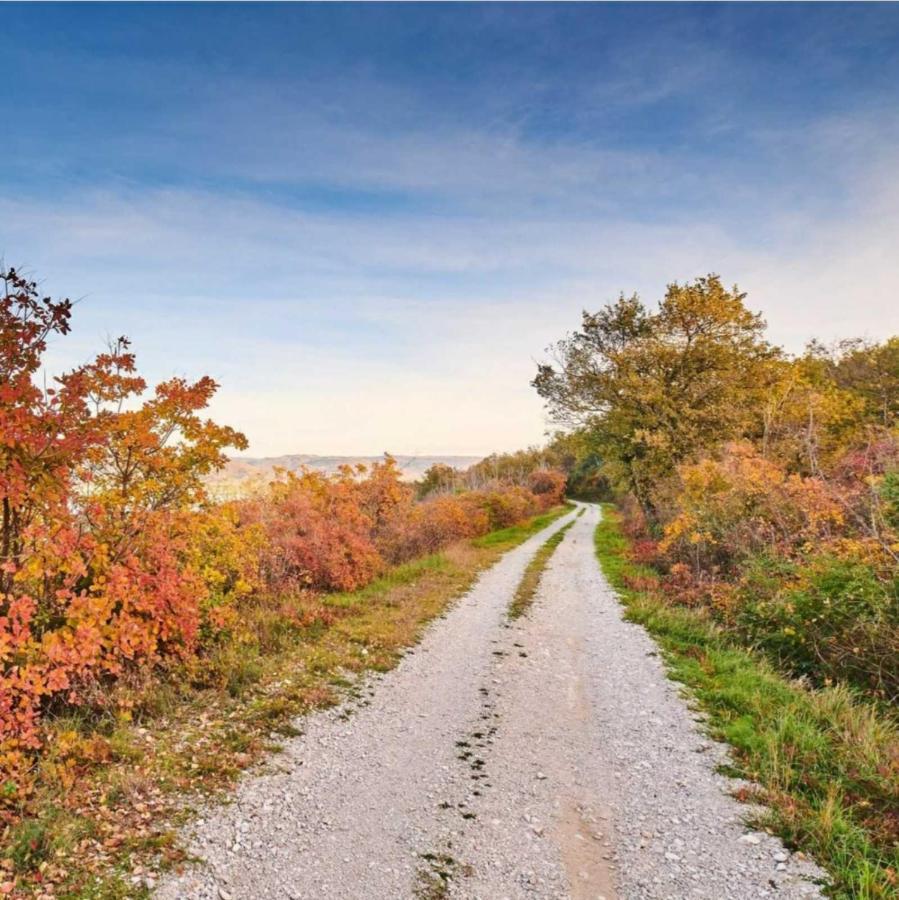 Apartment Parenzana, Little Row House With Big Green Yard In Central Istria Rakotule Eksteriør bilde