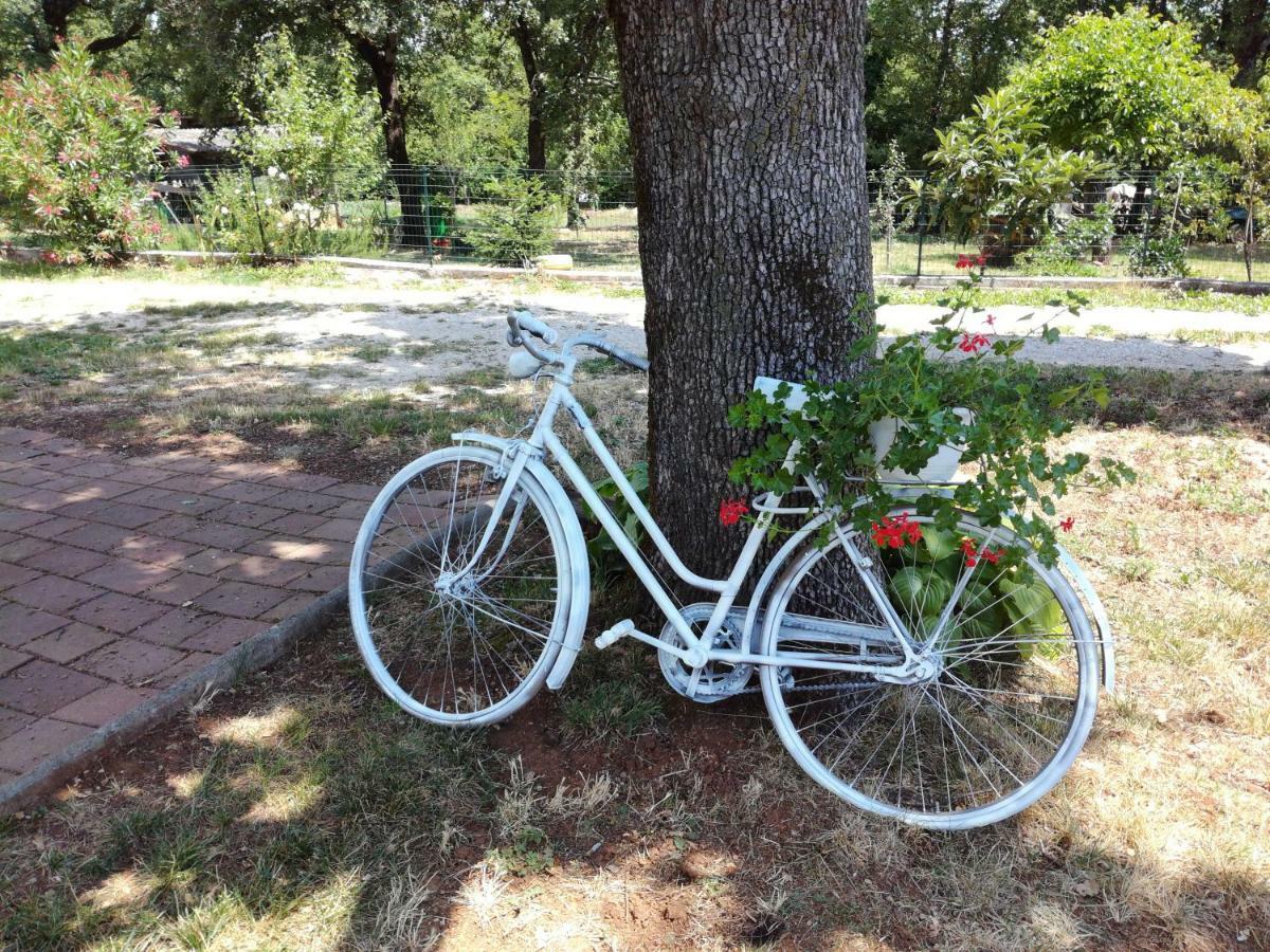 Apartment Parenzana, Little Row House With Big Green Yard In Central Istria Rakotule Eksteriør bilde